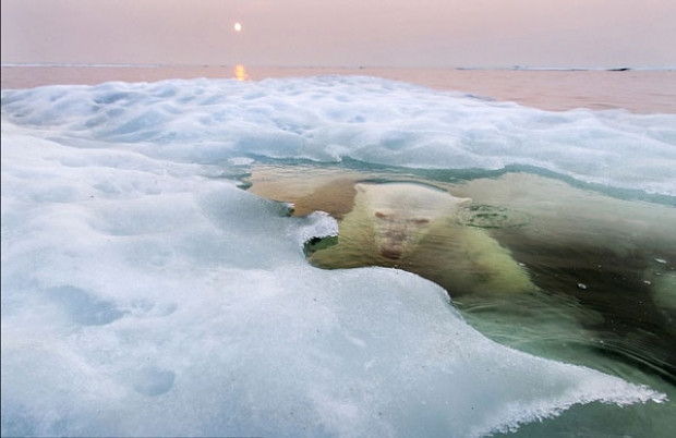 2013 yılının en güzel fotoğrafları! - Page 4