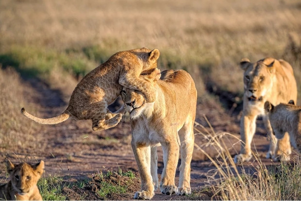 2015 National Geographic Gezgin Fotoğrafları Yarışması'ndan nefes kesen güzellikte 15 kare - Page 1