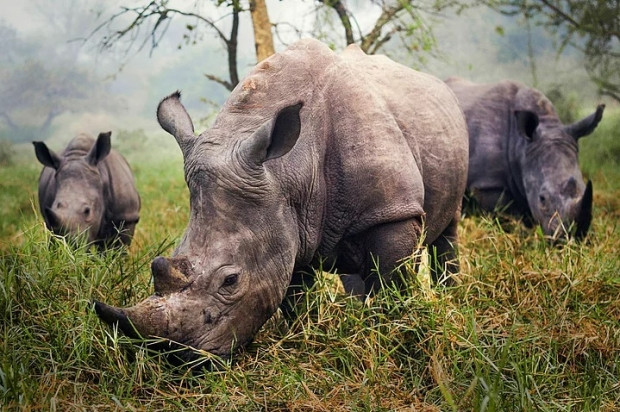 2015 National Geographic 'Gezginler Temalı' fotoğraf yarışmasından harikulade kareler - Page 2