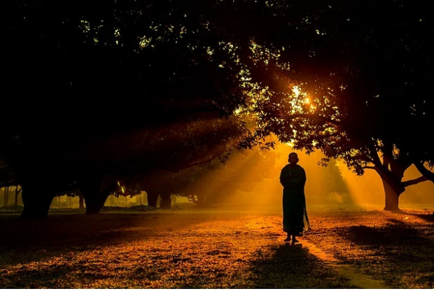 2015 Sony Fotoğrafçılık Ödülleri'nde öne çıkmış 15 fotoğraf - Page 2