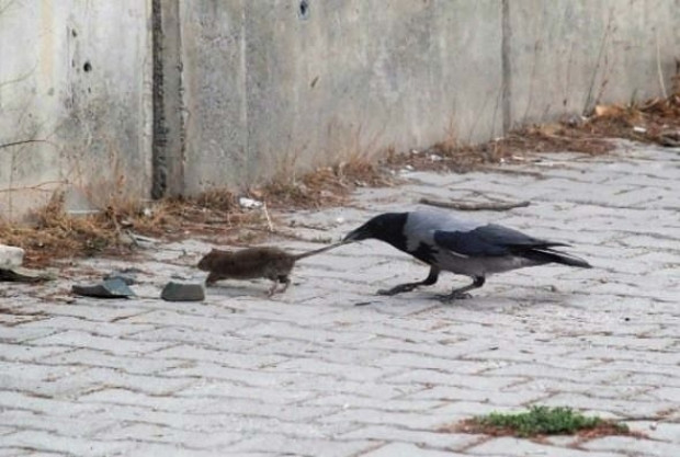 2016'da akıllara kazınan fotoğraflar! - Page 4