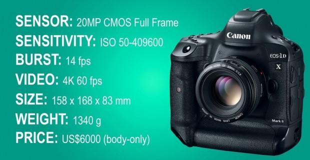 2016'nın en iyi SLR fotoğraf makineleri - Page 2