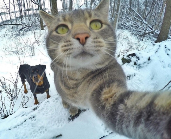 2016'ya damga vuran Selfieler! - Page 3