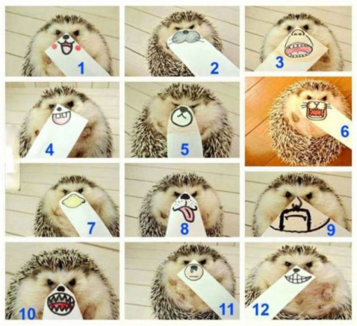 Akşamın en keyifli fotoğrafları - Page 3