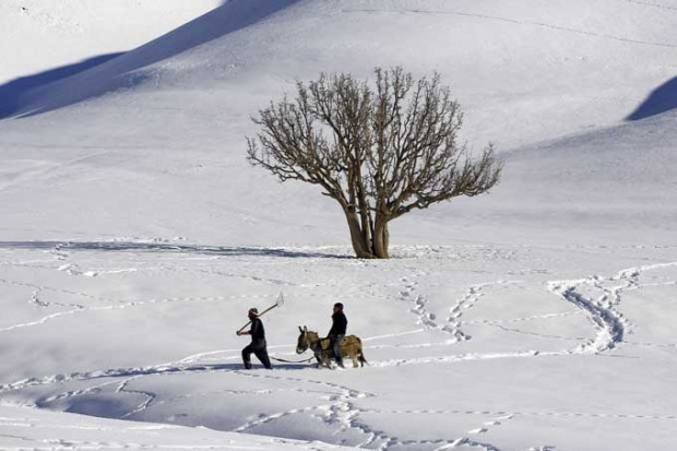 Anadolu Ajansı'ndan 2014 yılının en iyi fotoğrafları - Page 1