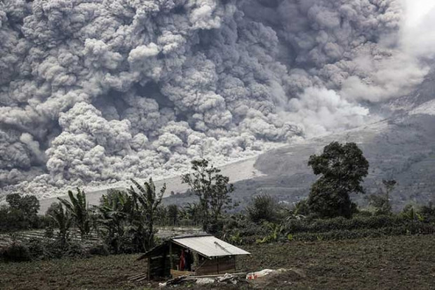 Anadolu Ajansı'ndan 2014 yılının en iyi fotoğrafları - Page 4