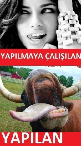 Aslında olan Caps'leri gülme krizine sokuyor! - Page 1