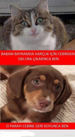 Bayram gelmeden Caps'ler internete düştü! - Page 1