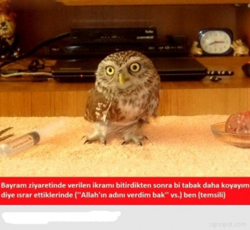 Bayram gelmeden Caps'ler internete düştü! - Page 4