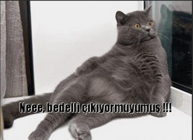 Bedelli askerlik capsleri gülme krizine soktu - Page 2