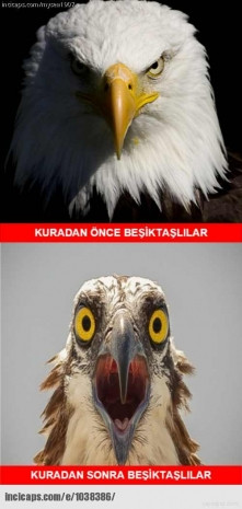 Beşiktaş Liverpool'la eşleşti, sosyal medyada gündem değişti! - Page 4