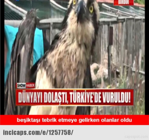 Beşiktaş şampiyon oldu, capsler patladı - Page 2