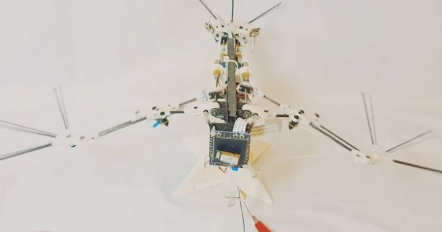 Bilim insanları yarasalar gibi uçabilen robot yaptı - Page 3