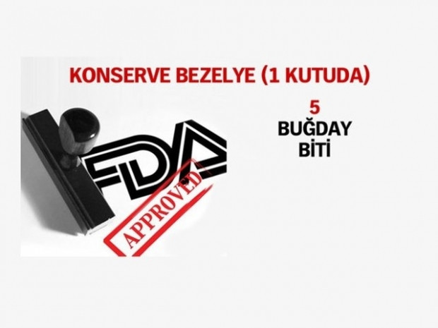Bir paket çikolatada kaç böcek var? - Page 4