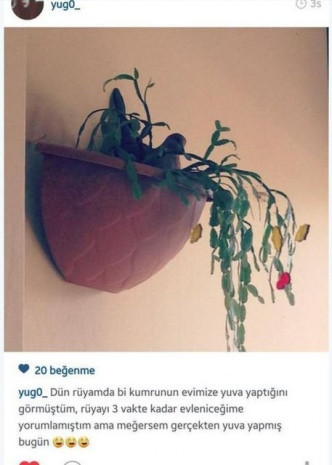 Bu bir dramdır başlığı altında yazılan yorumlar güldürüyor - Page 1