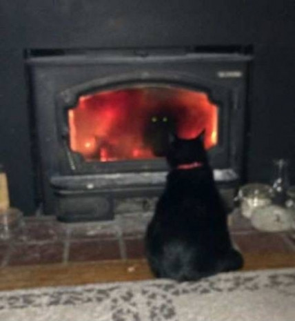 Bu fotoğrafta bir gariplik var - Page 3