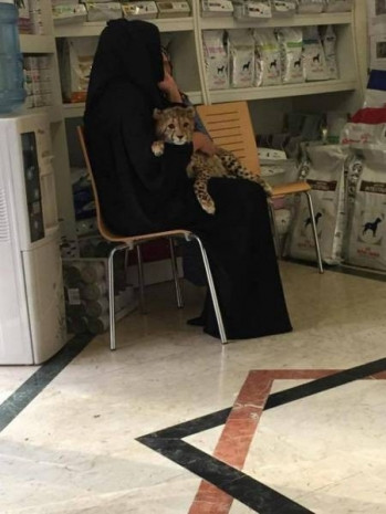 Bu kareler sadece Dubai'den çıkar - Page 4
