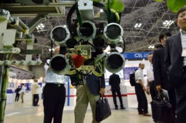 Bu robot meyve topluyor - Page 3