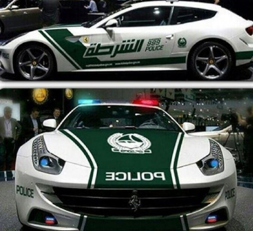 Bunlar dünyanın en iyi polis arabaları - Page 3