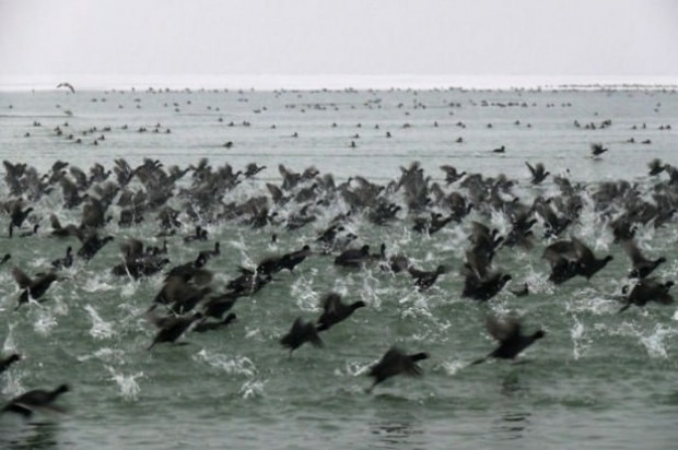 Doğadan objektiflere yansıyan birbirinden harika fotoğrafları - Page 1
