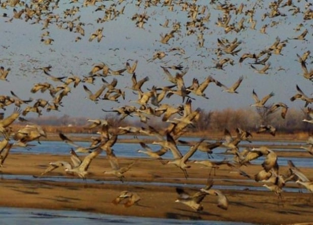 Doğadan objektiflere yansıyan birbirinden harika fotoğrafları - Page 2