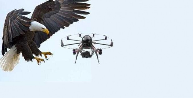 Drone'lara karşı semalar ona emanet olacak! - Page 2