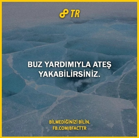 Dünyaca ünlü bilgi paylaşım sitesi 8Fact'in hesabından paylaşılan 21 ufuk açıcı bilgi - Page 2