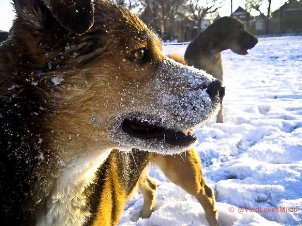 Dünyanın en iyi GoPro fotoğrafları! - Page 4