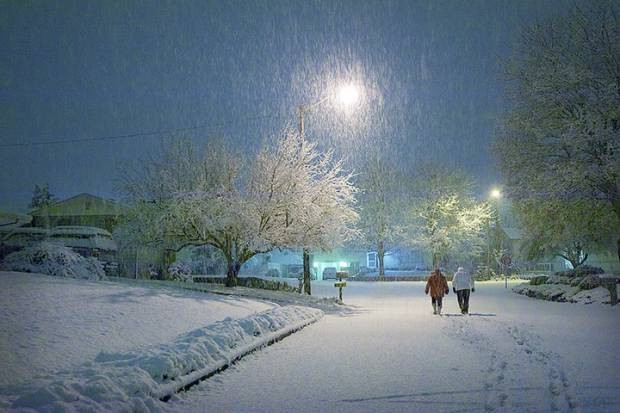 Dünyadan günün en etkileyici fotoğrafları! 19 Ocak - Page 4