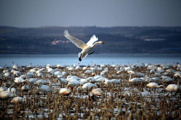Dünyadan günün en etkileyici fotoğrafları! 2 Nisan - Page 4
