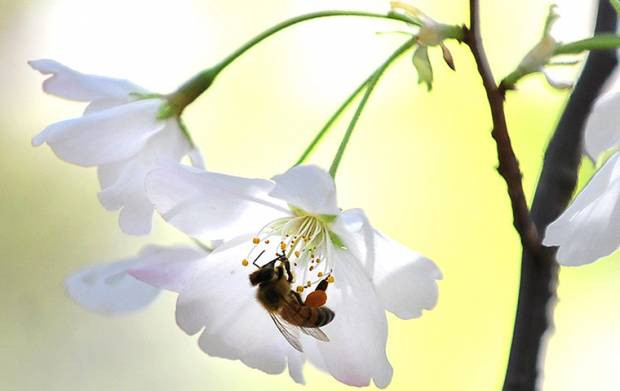 Dünyadan günün en etkileyici fotoğrafları! 22 Mart - Page 2