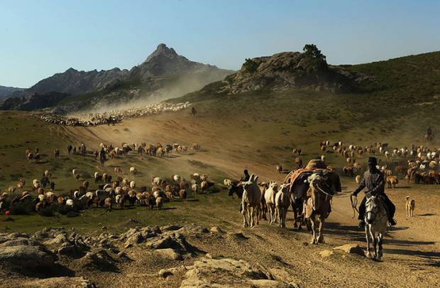 Dünyadan günün en etkileyici fotoğrafları! 5 Haziran - Page 1