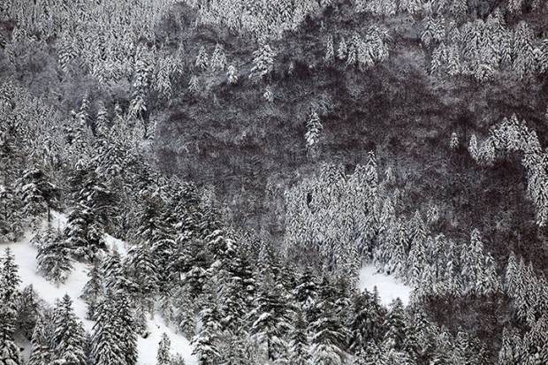Dünyadan günün en etkileyici fotoğrafları! 7 Şubat - Page 3