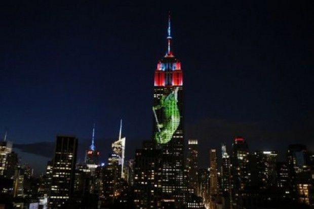 Empire State'e nesli tükenmekte olan hayvanları yansıttılar - Page 3