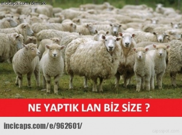 En komik kurban bayramı capsleri - Page 3
