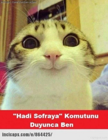 komik Ramazan capsleri - Page 2