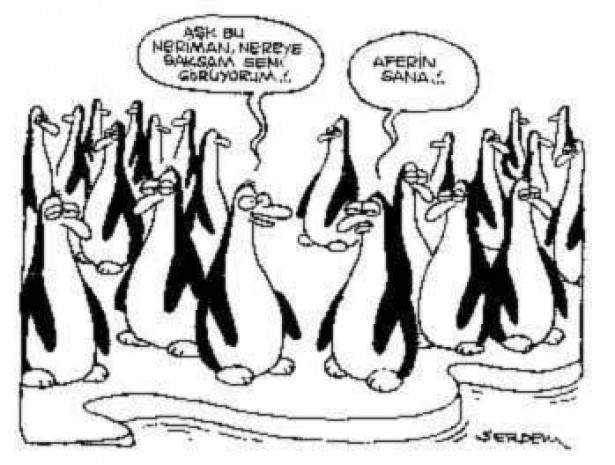 En komik sevgililer günü karikatürleri - Page 1