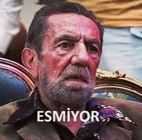En komik 'sıcak hava' foto yorumları - Page 2
