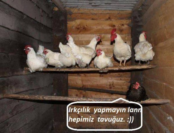 Facebook'da paylaşılan en komik kareler - Page 1
