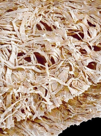 Fotoğraftakilerin ne olduğuna çok şaşıracaksınız - Page 2