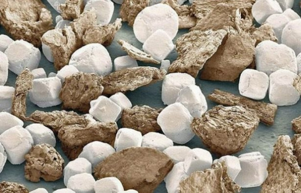 Fotoğraftakilerin ne olduğuna çok şaşıracaksınız - Page 4