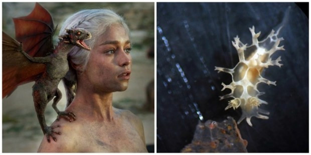 Game Of Thrones'un 22 gizemi! - Page 4