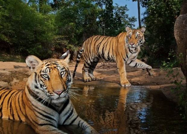 Geçtiğimiz ayın en iyi fotoğrafları