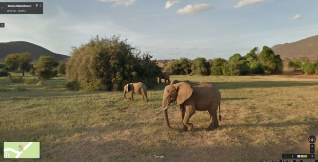 Google Street View'le dünyanın dört bir yanından en çarpıcı fotoğraflar - Page 3
