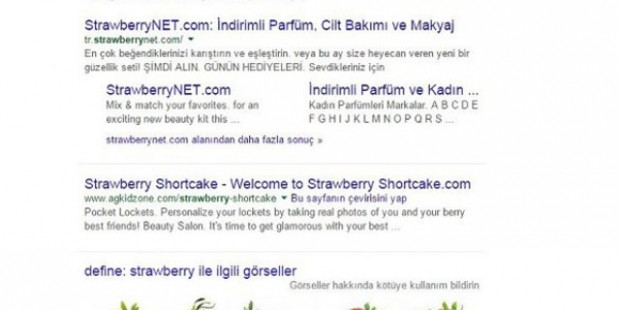 Google'da yapılabilen inanılmaz 18 şey - Page 2