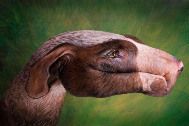 Guido Daniele elleriyle hayvan figürleri resmediyor - Page 4