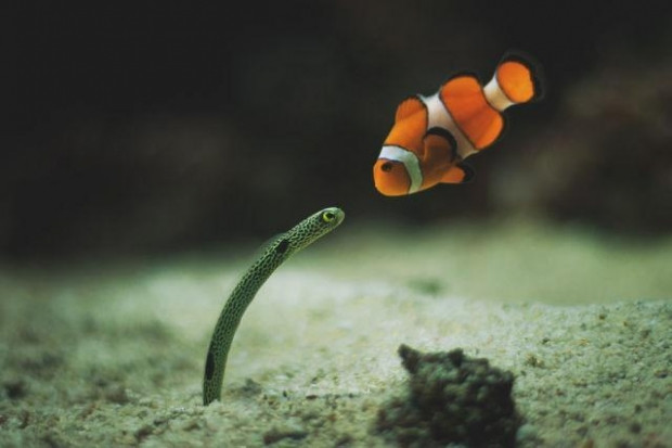 Günlük yaşamdan yuh dedirten fotoğraflar! - Page 3
