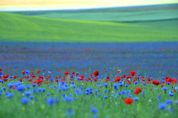 Günün fotoğrafları 7 Ekim 2013 - Page 3