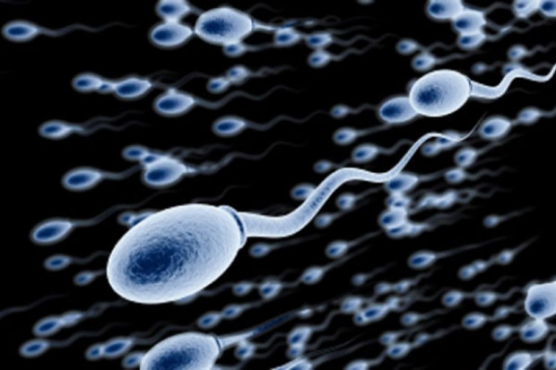 İnsan derisini hücrelerini sperm ve yumurtaya çevirdiler - Page 3