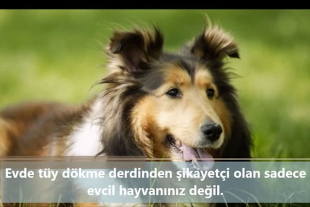 İnsan vücudunda şaşırtıcı 16 özellik! - Page 4